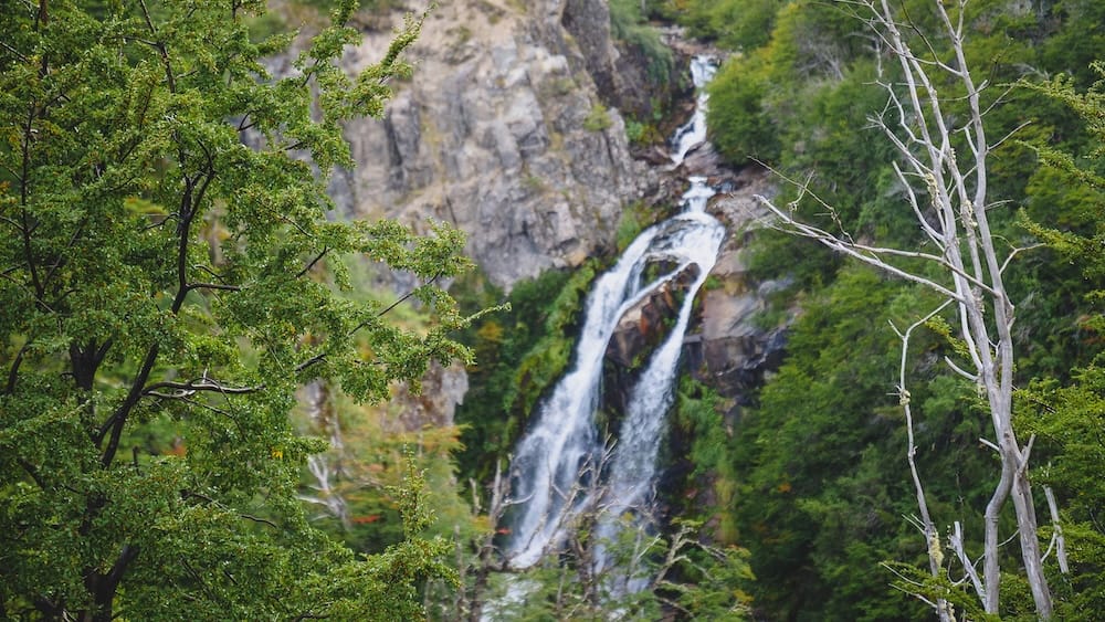 Cascada Ñivinco drops through a rocky gorge surrounded by dense green Patagonian forest along the Seven Lakes Route in Neuquén Province, Argentina.