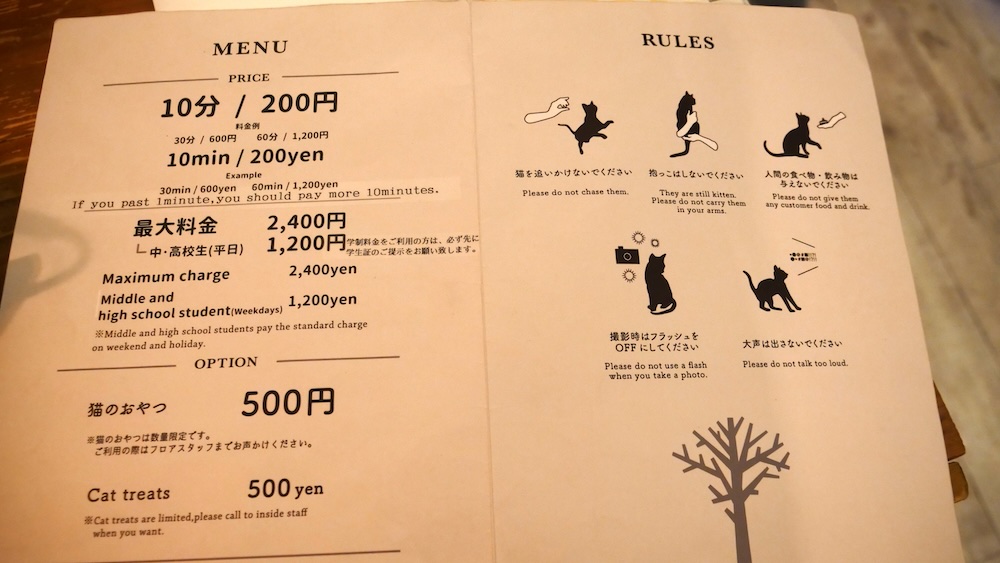 Cat Cafe Menu, Prices and Rules in Tokyo, Japan 