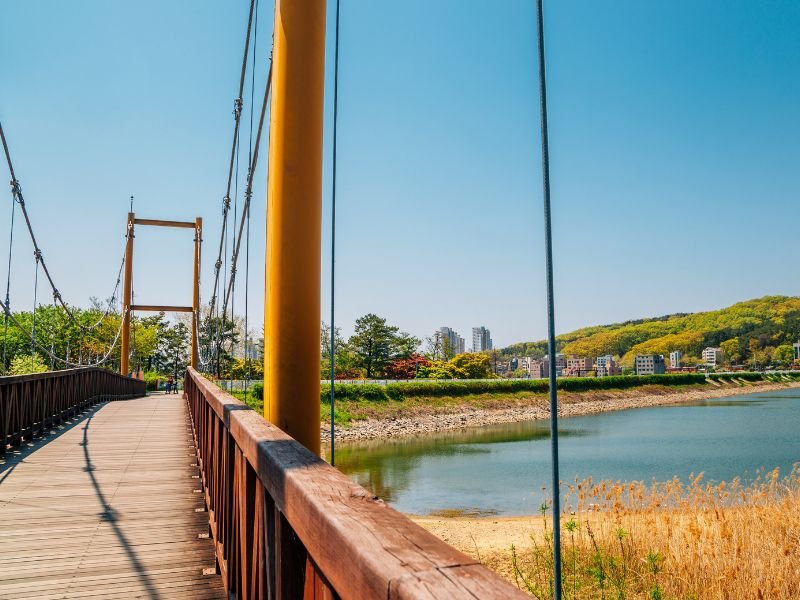 Cheonan wooden walking bridge views 