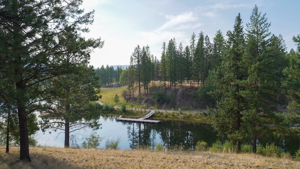 Idlewild Park in Cranbrook, BC offers scenic high-vantage views over the calm lake, wooden dock, and surrounding pine forest, showing why this peaceful park is perfect for easy walks, quiet reflection, and relaxed nature time close to town.
