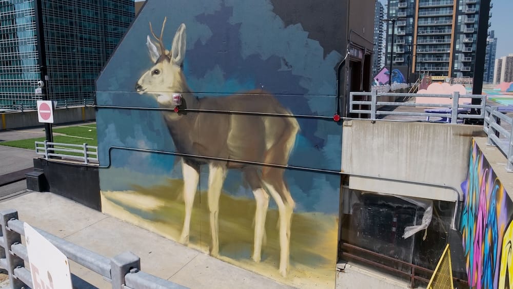 Un gran mural realista de un ciervo bura pintado en una pared exterior en High Park en Calgary, Alberta, Canadá, con edificios altos del centro y otros murales coloridos visibles de fondo.