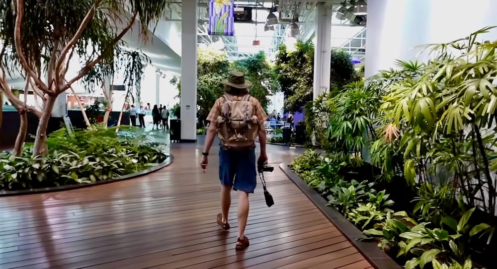 Samuel Jeffery camina por una pasarela de madera entre plantas tropicales y árboles interiores dentro de Devonian Gardens en Calgary, Alberta, Canadá.