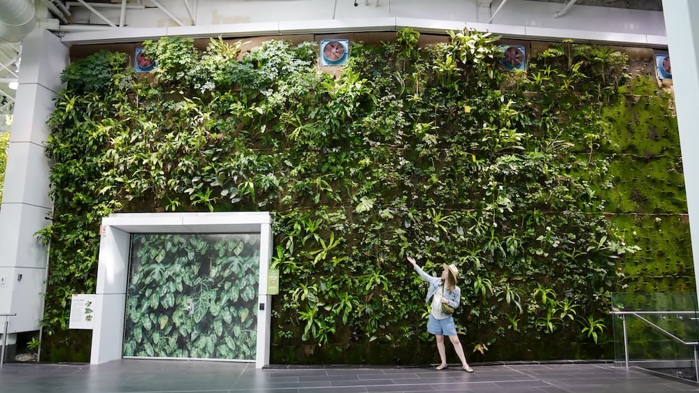 Audrey Bergner beside the living wall at Devonian Gardens in Calgary, Alberta, Canada Audrey Bergner stands beside a large living wall inside Devonian Gardens in Calgary, Alberta, Canada, surrounded by dense tropical greenery in the indoor public garden.