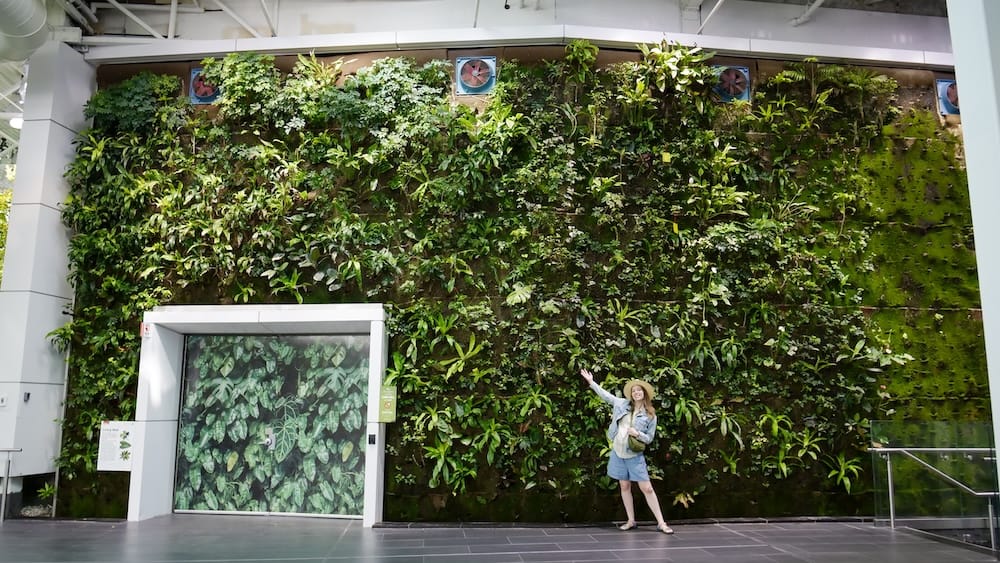 Audrey Bergner at the living wall, Devonian Gardens, Calgary, Alberta, Canada Audrey Bergner standing beneath the large living plant wall at Devonian Gardens, the indoor botanical garden on the fourth floor of the CORE Shopping Centre in downtown Calgary, Alberta, Canada.