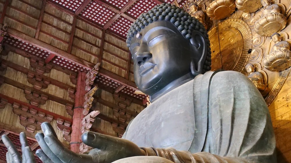 Distinct Buddha in Nara, Japan 