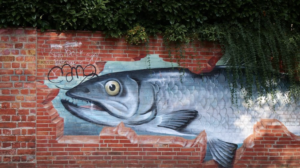 Distinct fish street art graffiti near Platz am Sande in Luneburg, Germany 