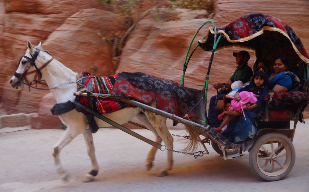 The echoing sound of galloping horses is one in which you'll learn to familiarize yourself with when visiting Petra, Jordan