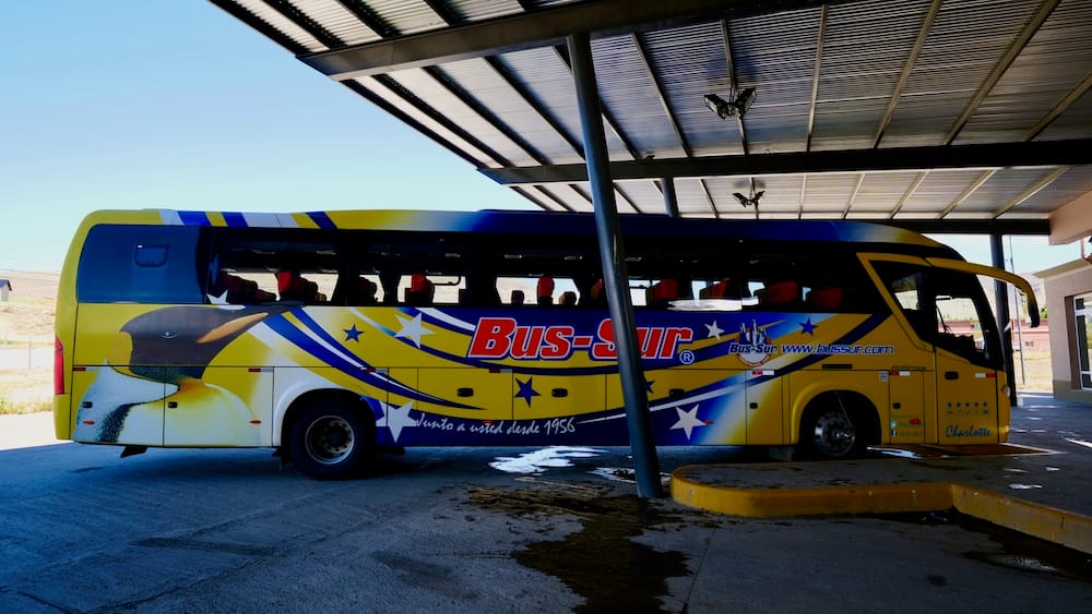 Bus-Sur Coach at El Calafate Terminal, Santa Cruz, Patagonia, Argentina A brightly painted Bus-Sur coach waits beneath the covered terminal in El Calafate, Santa Cruz, Patagonia, Argentina, illustrating the long-distance bus travel that links southern destinations.