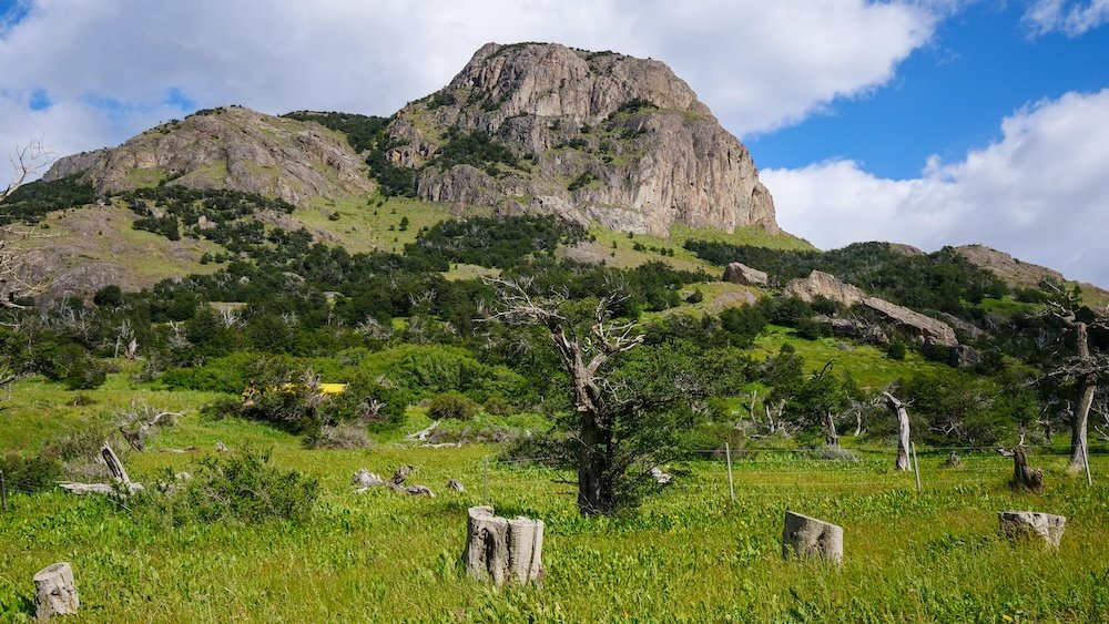 Scenic hiking views in El Chaltén with green meadows and rugged Patagonian mountains El Chaltén hiking views in Patagonia, Argentina, featuring a rugged rocky mountain rising above green meadows, lenga trees, and open valleys, showcasing the quieter landscapes you experience while walking the trails beyond the town center.