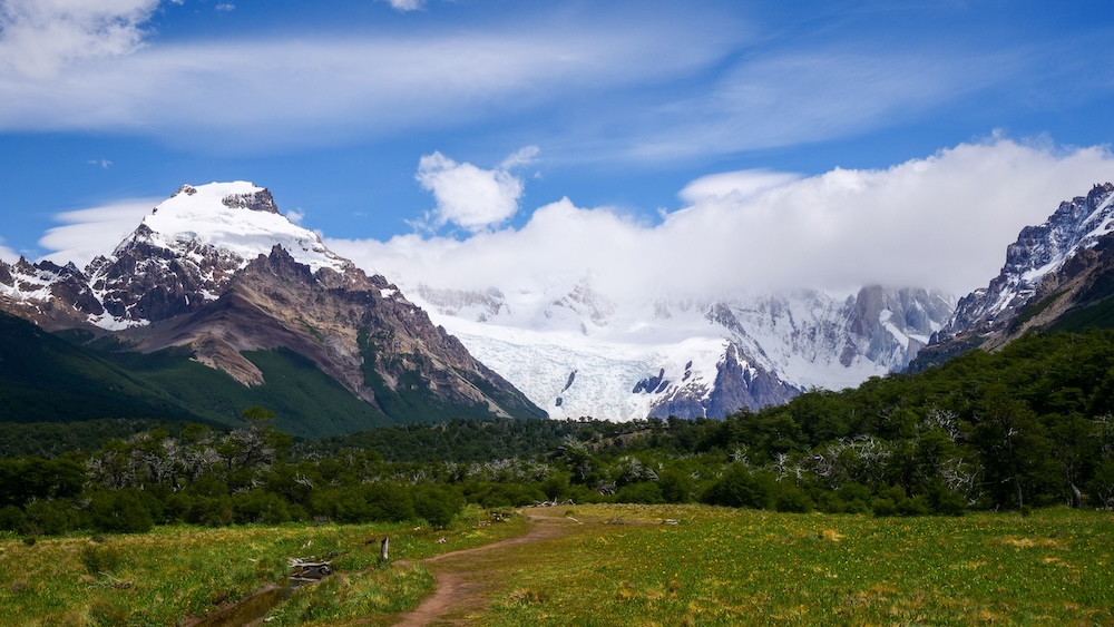 El Chaltén Laguna Torre hiking trail in Patagonia, Argentina, featuring a winding dirt path through green meadows, dense forest edges, and dramatic snowcapped peaks and glaciers under a bright blue sky.
