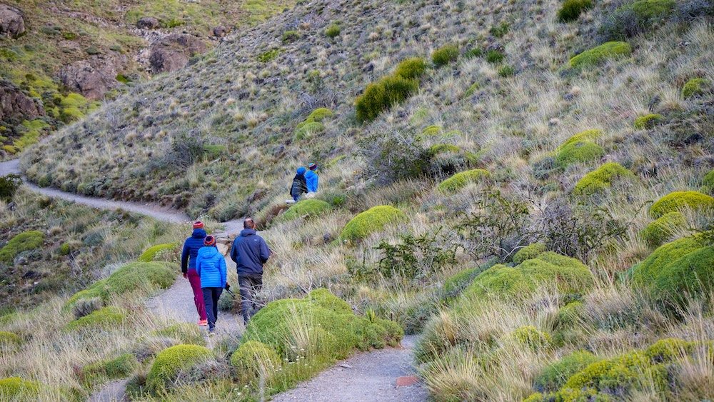 Hiking the Mirador de los Cóndores trail as a short, rewarding viewpoint hike in El Chaltén Mirador de los Cóndores hike in El Chaltén, Patagonia, with hikers following a narrow trail through low shrubs and rolling hills, showing one of the town’s most accessible viewpoints and a perfect short hike option for a one-day visit.