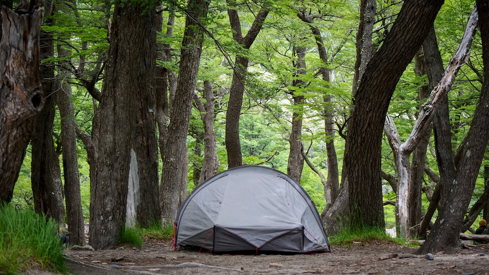 El Chaltén, Patagonia, Argentina forest campsite with a pitched hiking tent beneath tall lenga trees, showing a typical overnight trekking setup for multi-day hikers connecting Laguna de los Tres and Laguna Torre trails