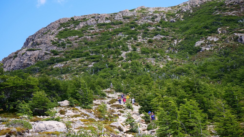 Laguna de los Tres final climb in El Chaltén, Patagonia, Argentina, showing hikers ascending the steep rocky trail through green lenga forest toward the dramatic granite walls of Mount Fitz Roy