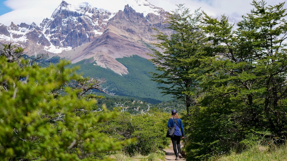 El Chaltén, Patagonia forest trail leading toward Mirador del Torre as Audrey Bergner hikes beneath towering snowy peaks, showing how even an easy-to-moderate walk near town delivers immersive mountain scenery and classic Patagonian landscapes.