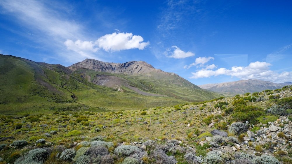 El Chaltén, Patagonia landscape seen from the bus ride from El Calafate, with rolling green hills, rocky slopes, and wide open valleys under a deep blue sky—an early preview of the wild scenery awaiting hikers in Argentina’s trekking capital.
