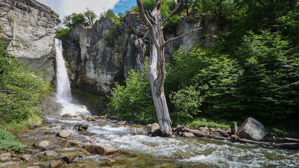 El Chaltén, Patagonia — Chorrillo del Salto waterfall crashing into a rocky stream surrounded by green forest and rugged cliff walls, a rewarding and easy-access hike just outside town.