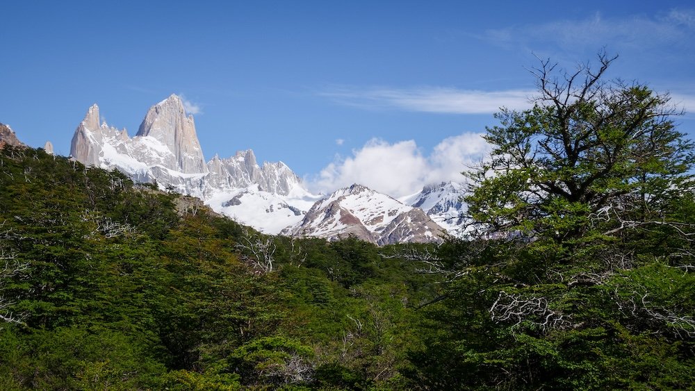 Laguna de los Tres trail in El Chaltén, Patagonia, with Mount Fitz Roy’s jagged granite towers rising above dense lenga forest—scenic mid-hike views that reward patience and make the long approach feel immersive and worthwhile.
