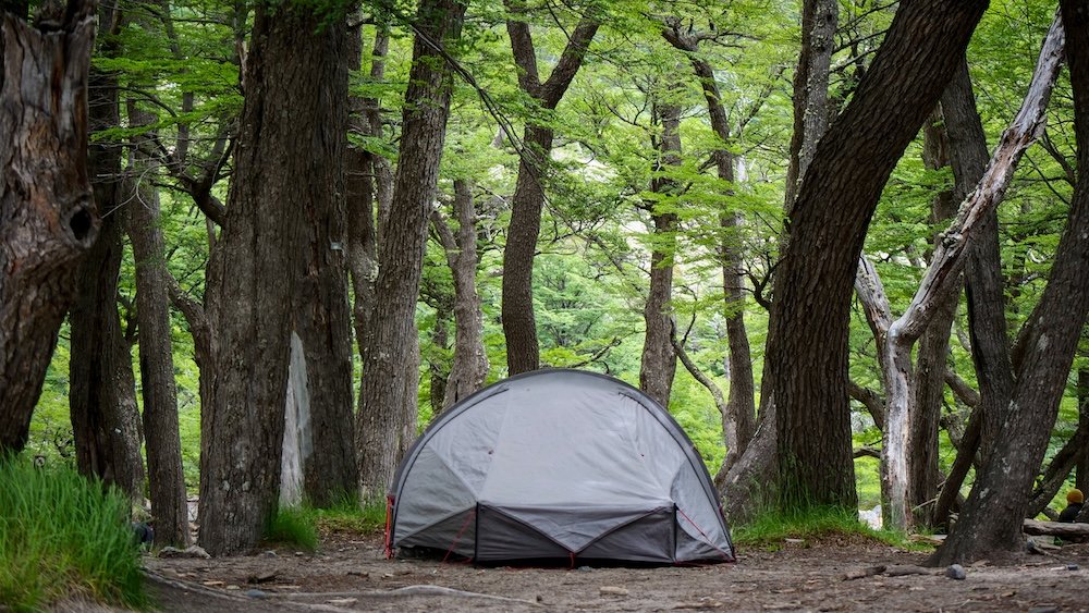 Laguna Torre campsite in El Chaltén, Patagonia, showing a tent pitched among lenga trees at the De Agostini campground, highlighting the forest setting used by hikers camping overnight before or after tackling the Laguna Torre trail in Los Glaciares National Park.