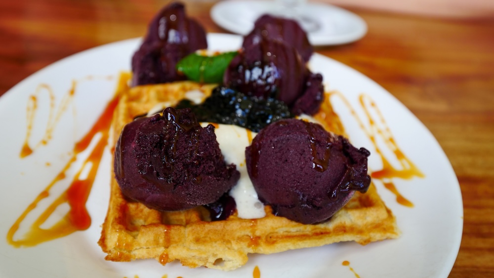 El Chaltén recovery waffles topped with berry sorbet and syrup, showing a post-hike treat that refuels tired legs after long Patagonian trail days in changing mountain weather.