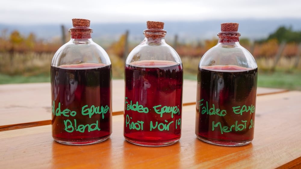 Wine tasting vials at an El Hoyo vineyard in Chubut, Patagonia, Argentina showing a blend, Pinot Noir and Merlot Three small glass wine vials labelled blend, Pinot Noir and Merlot sit on a wooden table during a vineyard tasting in El Hoyo, Chubut, Patagonia, Argentina, with autumn vines and a soft mountain backdrop behind them.