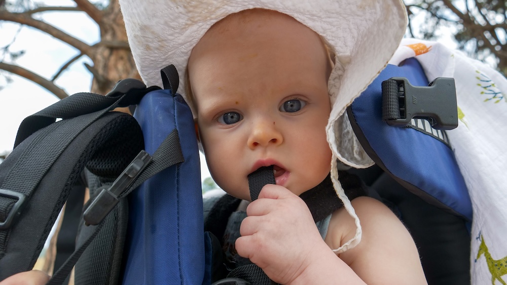Elizabeth Lake in Cranbrook, BC during a gentle family hike, showing baby Aurelia sitting comfortably in a backpack carrier, curiously exploring the outdoors while surrounded by trees and fresh air, highlighting how baby-friendly and relaxed this lakeside walk feels.
