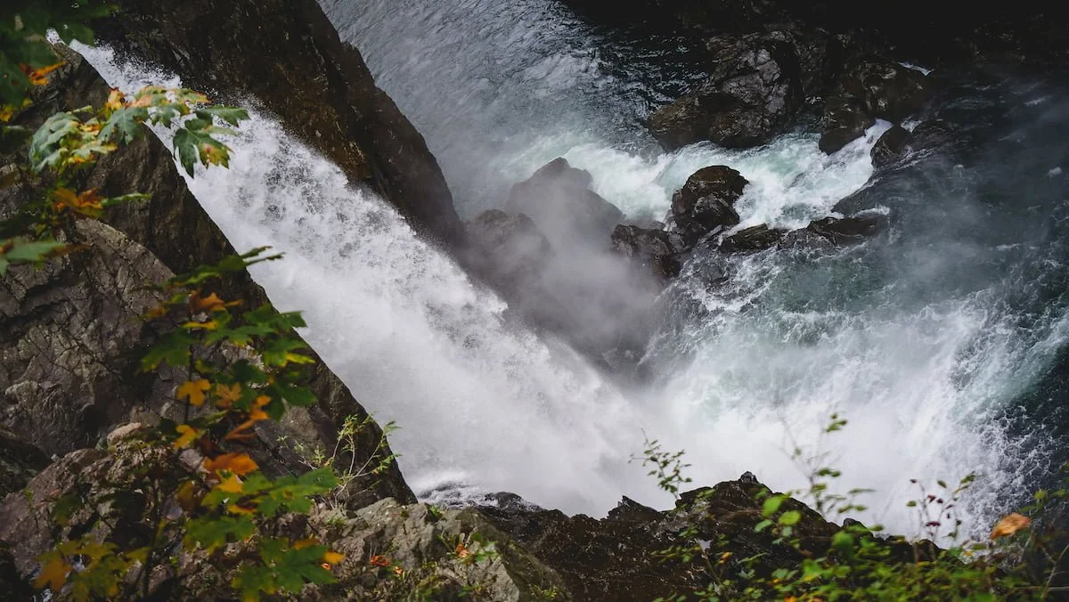 Campbell River is the perfect location to visit the incredible waterfalls found only at Elk Falls 