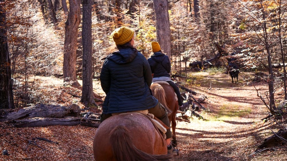 Audrey Bergner y una compañera de cabalgata avanzan a caballo por un sendero de bosque otoñal salpicado de sol cerca de Esquel, Chubut, en la Patagonia argentina, con hojas caídas cubriendo el suelo y otro caballo más adelante.
