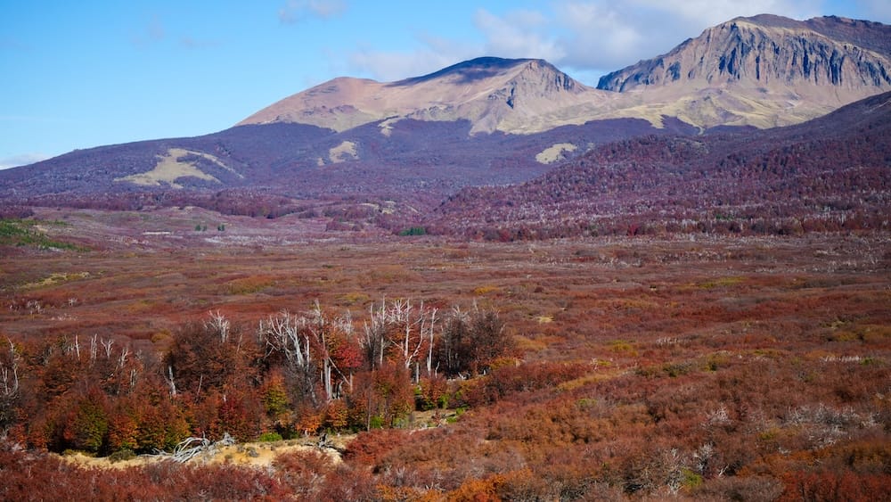 Autumn lenga forest valley near Esquel with red foliage and Andean mountain ridges in Patagonia Argentina Expansive autumn lenga forest near Esquel in Chubut, Argentina, showing deep red and copper foliage stretching across a vast Patagonian valley beneath rugged Andean mountain ridges during peak fall color.