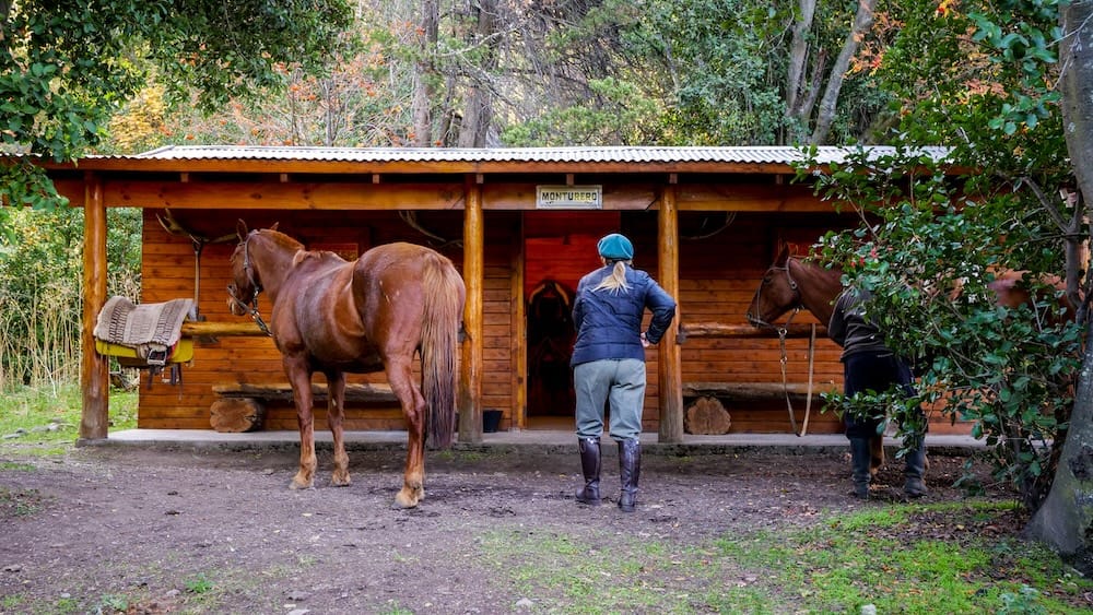 Two saddled horses stand beside a rustic wooden barn at Estancia Arroyo Verde near Villa La Angostura in Neuquén, Patagonia, Argentina, while riders prepare among dense forest and autumn foliage.