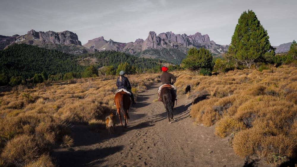 Audrey Bergner y Samuel Jeffery cabalgan de espaldas a la cámara por un sendero de estepa en Estancia Arroyo Verde, cerca de Villa Traful, Neuquén, Patagonia argentina, con perros trotando a su lado y montañas de fondo.