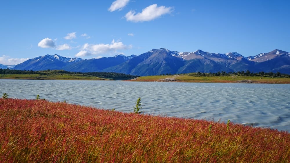 Red autumn grass lines the shore of a glacial lake at Estancia Nibepo Aike inside Los Glaciares National Park, Santa Cruz, Argentine Patagonia, with snow-dusted mountains rising along the far shoreline.