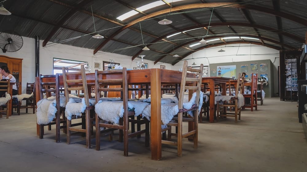 Rustic dining hall at Estancia San Lorenzo in Península Valdés Argentina with wooden tables and sheepskin chairs, reflecting traditional estancia setting where Patagonian lamb cordero patagonico is served in a simple, authentic environment