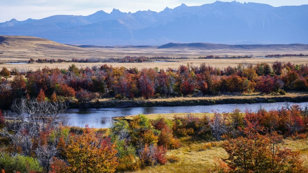 Autumn River and Forest Near Estancia Tecka, Chubut, Patagonia, Beneath Jagged Mountain Peaks A winding river cuts through vivid autumn forest near Estancia Tecka in Chubut, Patagonia, Argentina, with open golden steppe and jagged mountain peaks stretching across the background.