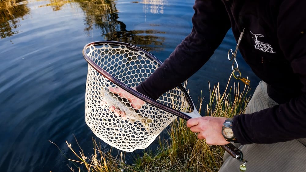A small trout rests in a landing net beside the water at Estancia Tecka in Chubut, Patagonia, Argentina, as an angler kneels at the grassy riverbank during a catch-and-release fly fishing session.