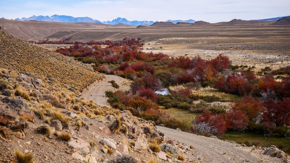 A rugged gravel road winds through red and orange autumn foliage at Estancia Tecka in Chubut, Patagonia, Argentina, with open steppe, scattered horses and distant mountain ridges stretching across the background.