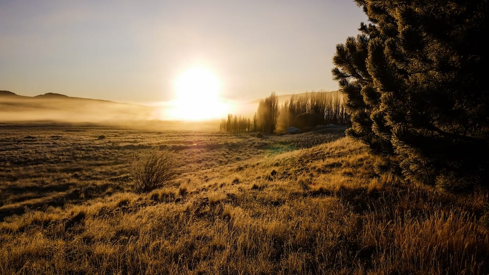 A frosty golden sunrise breaks through morning mist over open grassland and poplar trees at Estancia Tecka Lodge in Chubut, Argentine Patagonia.