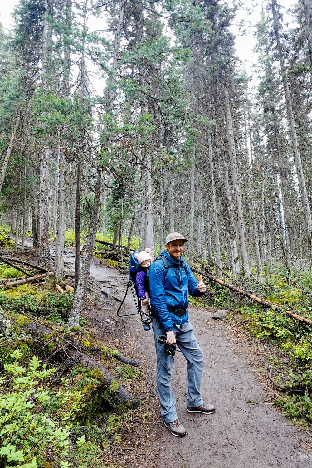 Samuel Jeffery hiking the Fairview Lookout trail above Lake Louise in Banff National Park, Alberta, Canada, carrying Aurelia Jeffery in a child carrier through dense evergreen forest.