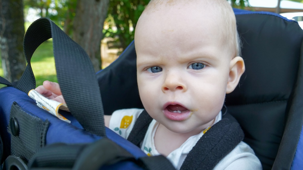 Baby Aurelia sitting comfortably in a hiking backpack carrier near the Fairy Creek Falls trailhead in Fernie, British Columbia, ready for a family-friendly forest hike surrounded by trees and fresh mountain air.

