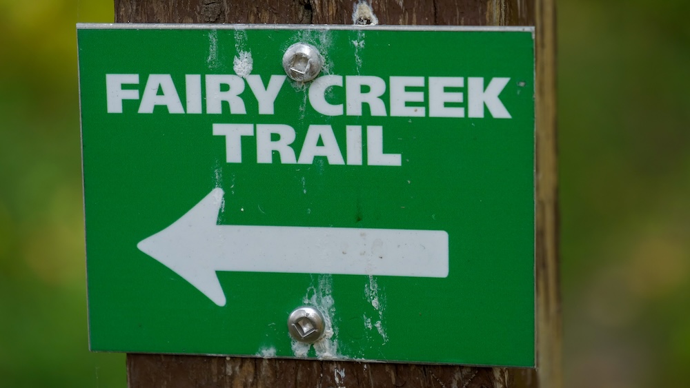 Green Fairy Creek Trail directional sign pointing hikers toward the Fairy Creek Falls route near Fernie, British Columbia, marking the clearly signed forest trail that leads to this popular family-friendly waterfall hike.
