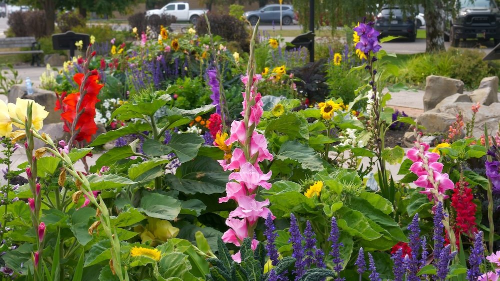 Fernie, British Columbia City Hall gardens filled with colourful summer flowers, showcasing a peaceful downtown green space where visitors can pause during a walk through Fernie’s historic centre and enjoy the town’s carefully maintained public spaces.
