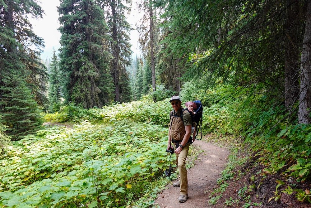 Fernie, British Columbia forest hiking scene as Nomadic Samuel explores the Island Lake Lodge trail network while carrying baby Aurelia in a backpack carrier, highlighting how Fernie offers family-friendly hiking surrounded by dense alpine forest and mountain scenery.
