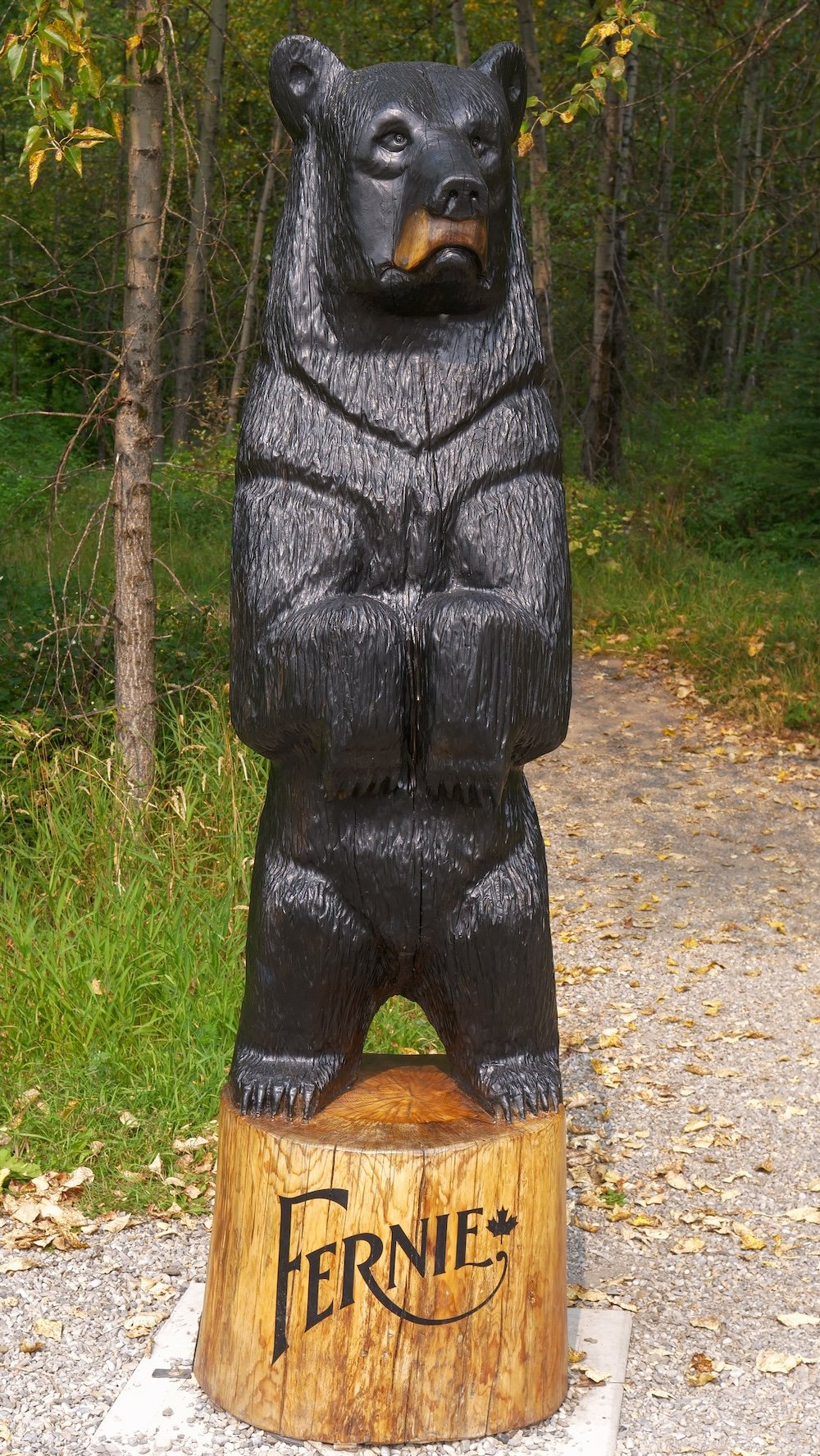 Fernie wooden bear statue along forest trail A carved wooden bear statue stands upright on a stump engraved with the word “Fernie,” set along a forested trail with green foliage and scattered autumn leaves, showcasing one of the town’s signature rustic landmarks often spotted on local walks.