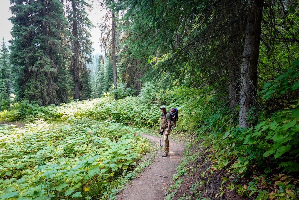 Fernie, British Columbia forest hiking at Island Lake Lodge with Nomadic Samuel carrying baby Aurelia along a narrow dirt trail, surrounded by dense evergreen trees and lush undergrowth on a peaceful, family-friendly hike in the mountains above Fernie.
