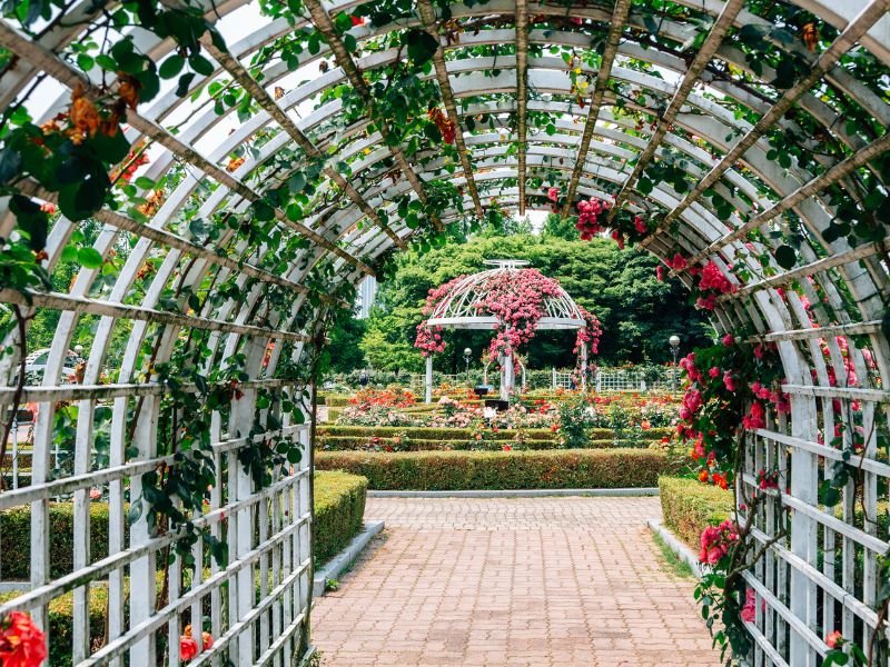 Flower garden in Goyang, Korea 