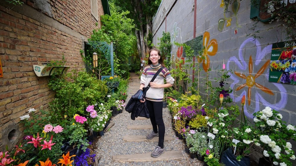 Flowering Greenhouse Path in El Calafate, Patagonia, Argentina, with Audrey Bergner Audrey Bergner stands along a narrow flowering greenhouse path in El Calafate, Santa Cruz, Patagonia, Argentina, surrounded by colourful potted plants, leafy shrubs and painted floral murals.