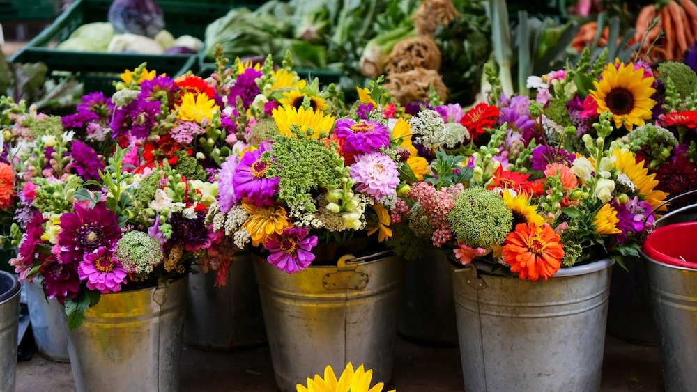 Flowers on display and for sale in Freiburg, Germany 