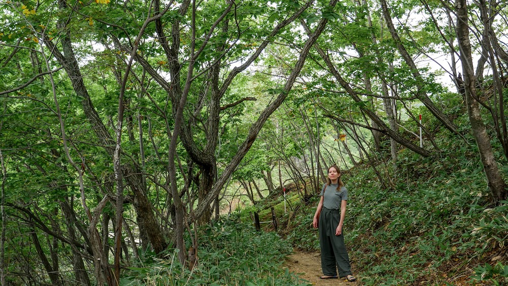 Sendero de bosque con cañas de bambú y postes indicadores en el circuito geotérmico, Noboribetsu Onsen, Hokkaido, Japón – Audrey Bergner Audrey Bergner parada en un angosto sendero de tierra en el bosque bordeado de cañas de bambú y árboles finos, con postes indicadores rojos y blancos más adelante, arriba de Noboribetsu Onsen en Hokkaido, Japón.