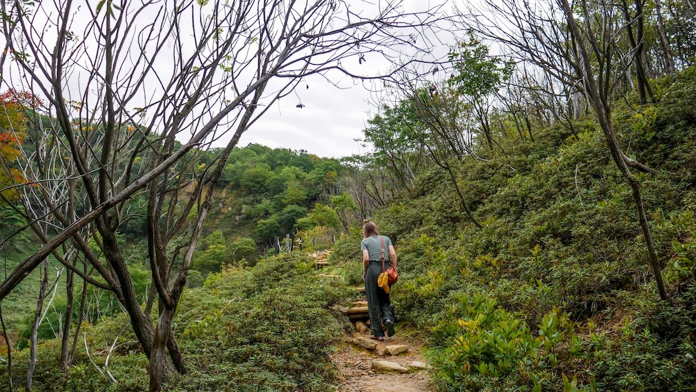 Rough Stone Steps on a Forest Trail of the Geothermal Loop Above Noboribetsu Onsen, Hokkaido, Japan – Audrey Bergner Audrey Bergner walks up a narrow dirt trail with rough stone and timber steps through low shrubs and bare trees on the hills above Noboribetsu Onsen, Hokkaido, Japan.