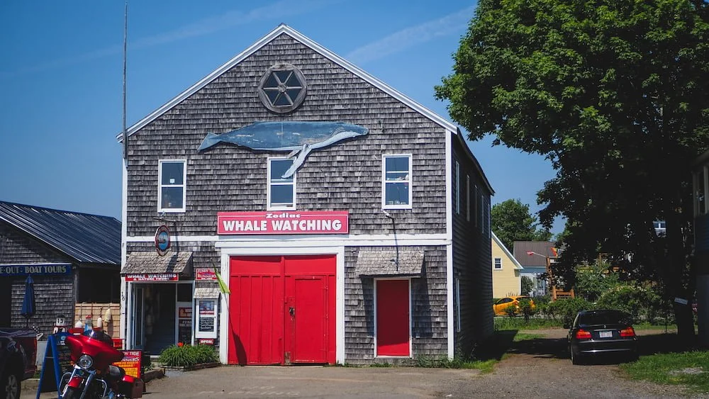 Day trip from Fredericton to Saint Andrews in New Brunswick for whale watching tours 