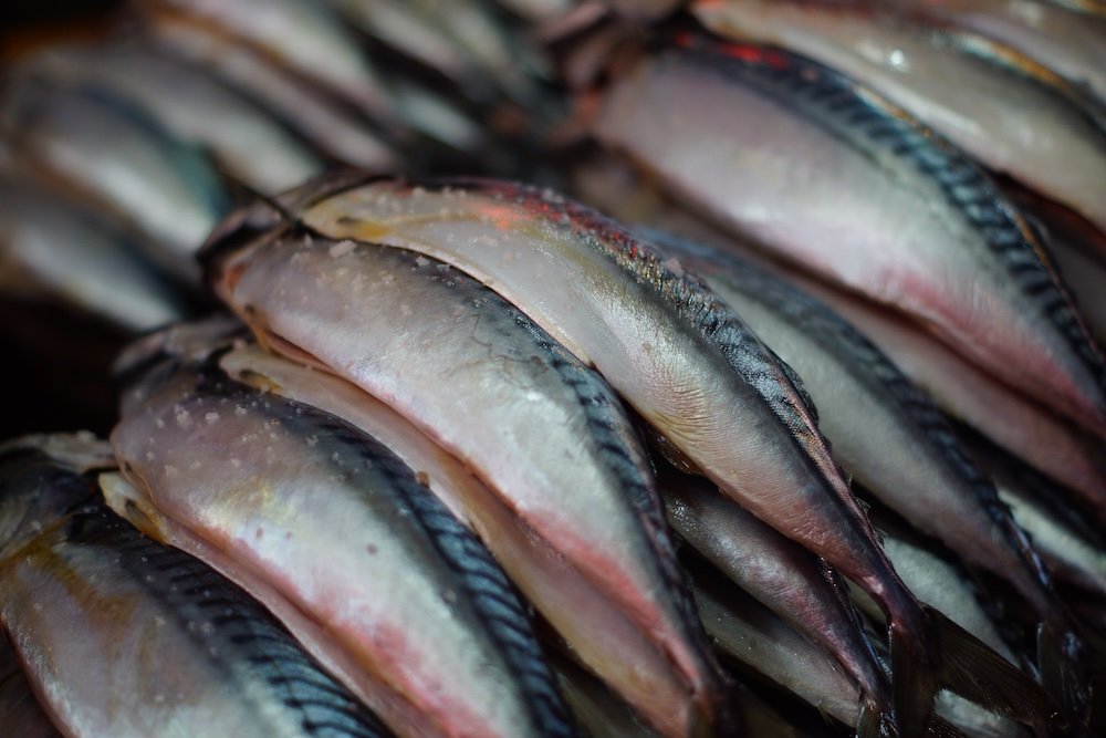 Fresh fish for sale in Daejeon, South Korea 